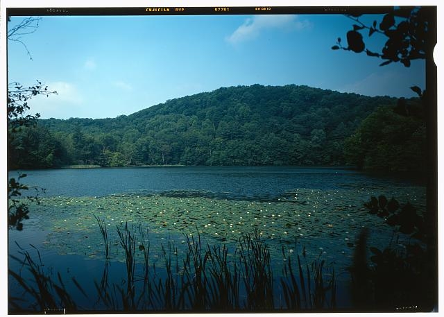 62. View of the pogue, looking west and illustrating the...
