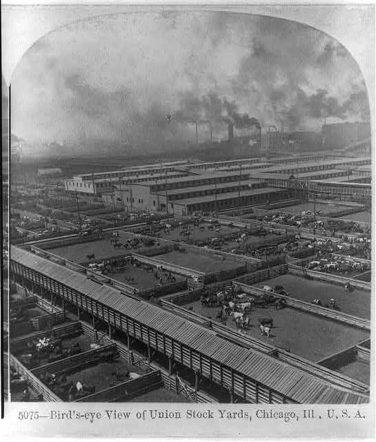 Birds-eye view of Union Stock yards, Chicago, Ill., U.S.A.