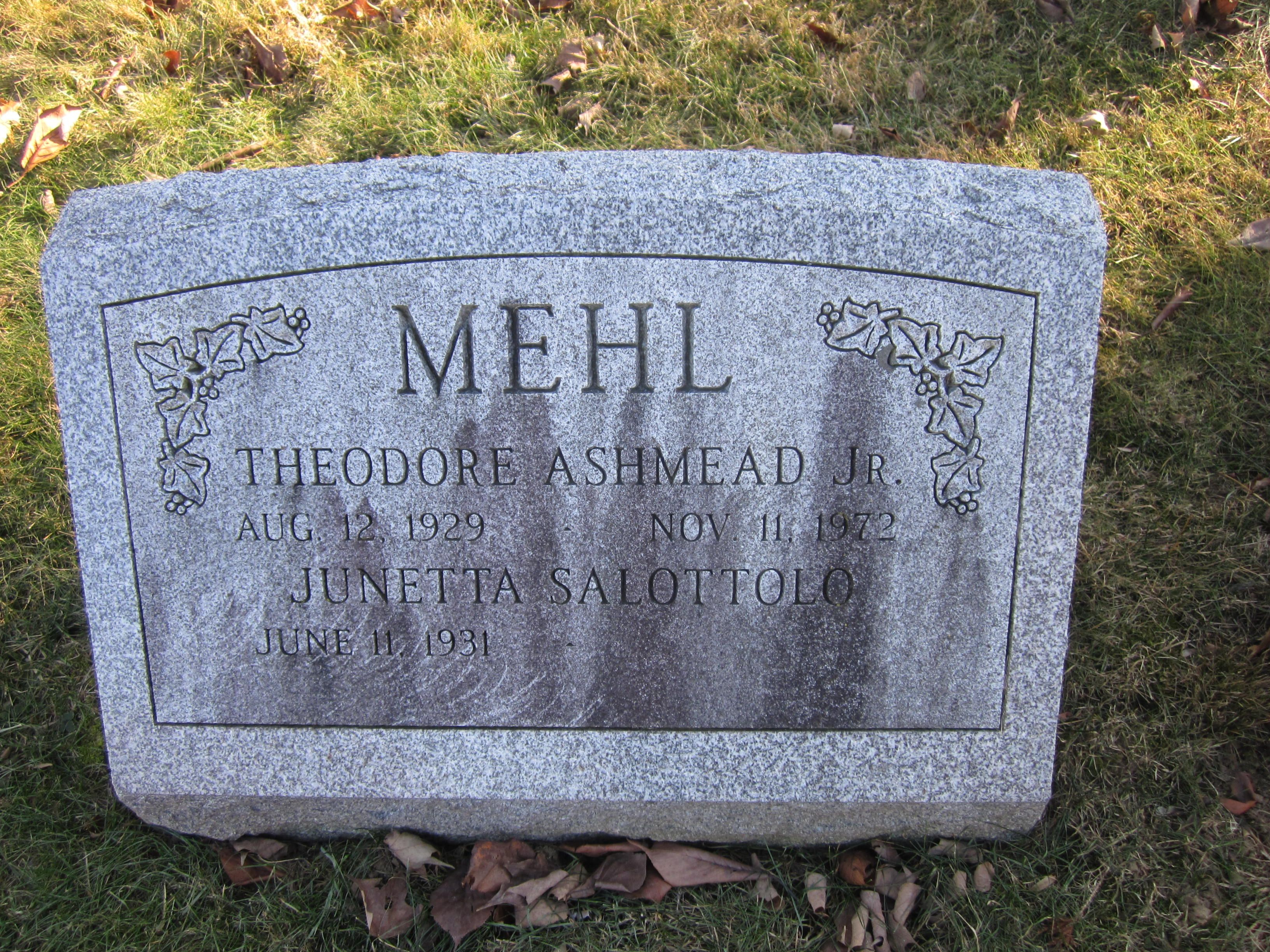 Theodore "Dorrie"  Ashmead Mehl Jr 