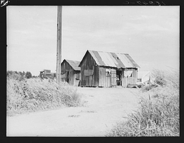 Home of agricultural workers in Arizona. Two families...