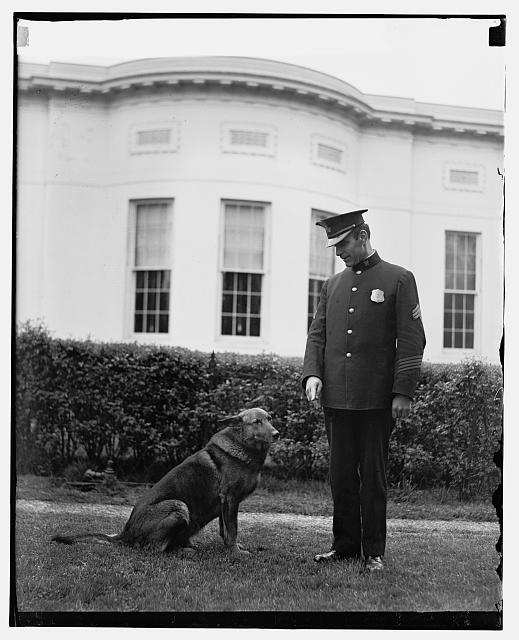 King Tutt, Ofc. Sq. A.W. Gall, 4/11/29