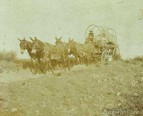 Texas Ranch Cowboy's Chuck Wagon