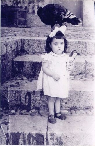 giuseppina vivirito