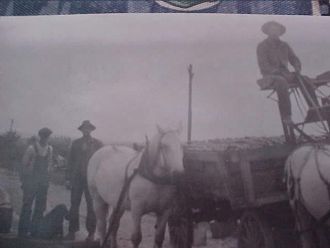 Man with Horse-wagon