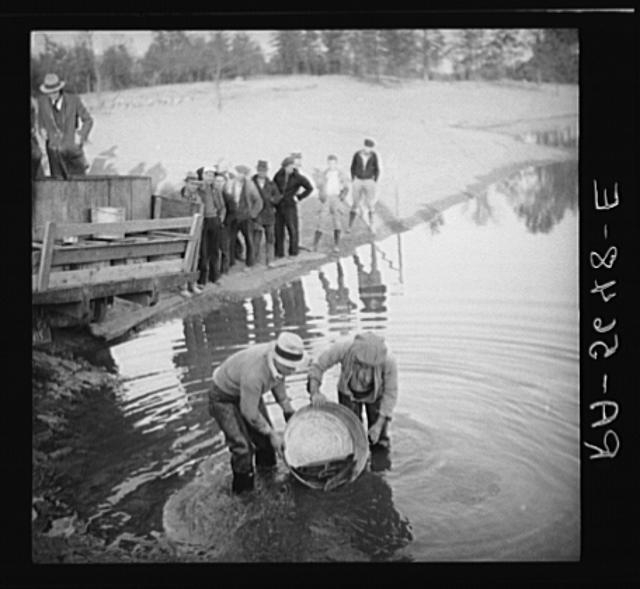 Stocking the twenty-five acre lake with fish. Greenbelt,...