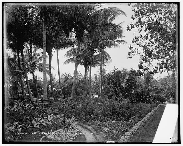 Hotel Royal Poincianna [i.e. Poinciana] and cocoanut...