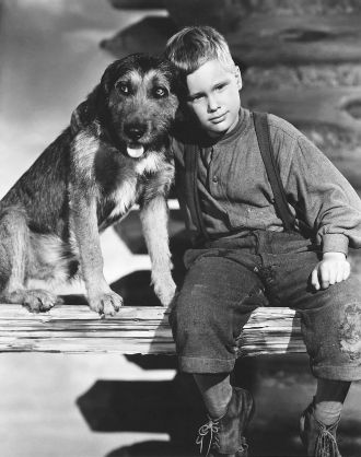 Brandon deWilde