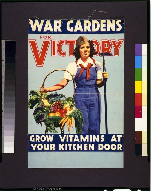 War gardens for victory--Grow vitamins at your kitchen...