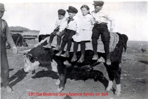 Spry-Spence family