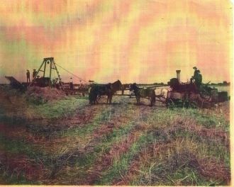 S. E. Tellyer Harvesting Crew