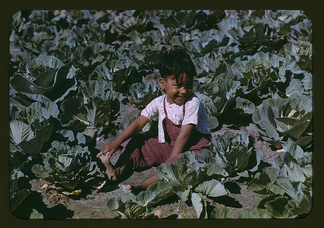 Migratory worker child, 1942