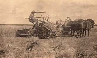 Theodore Wilhelm Roos Farming Theodore Wilhelm Roos Farming