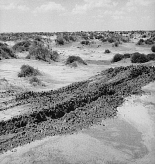 Leveling hummocks in the dust bowl. Coldwater District,...