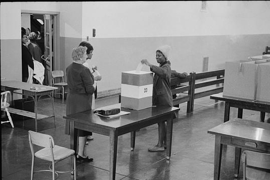 Negro voting in Cardozo High School 