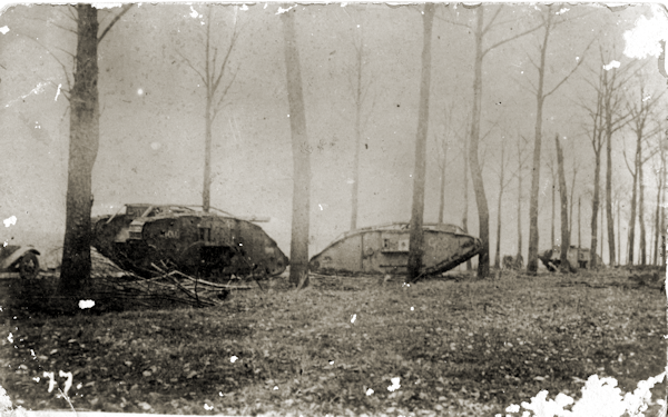 Allied tanks in a forest