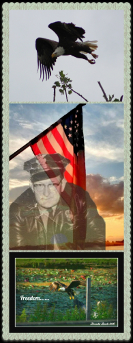 Everett E Hewlett