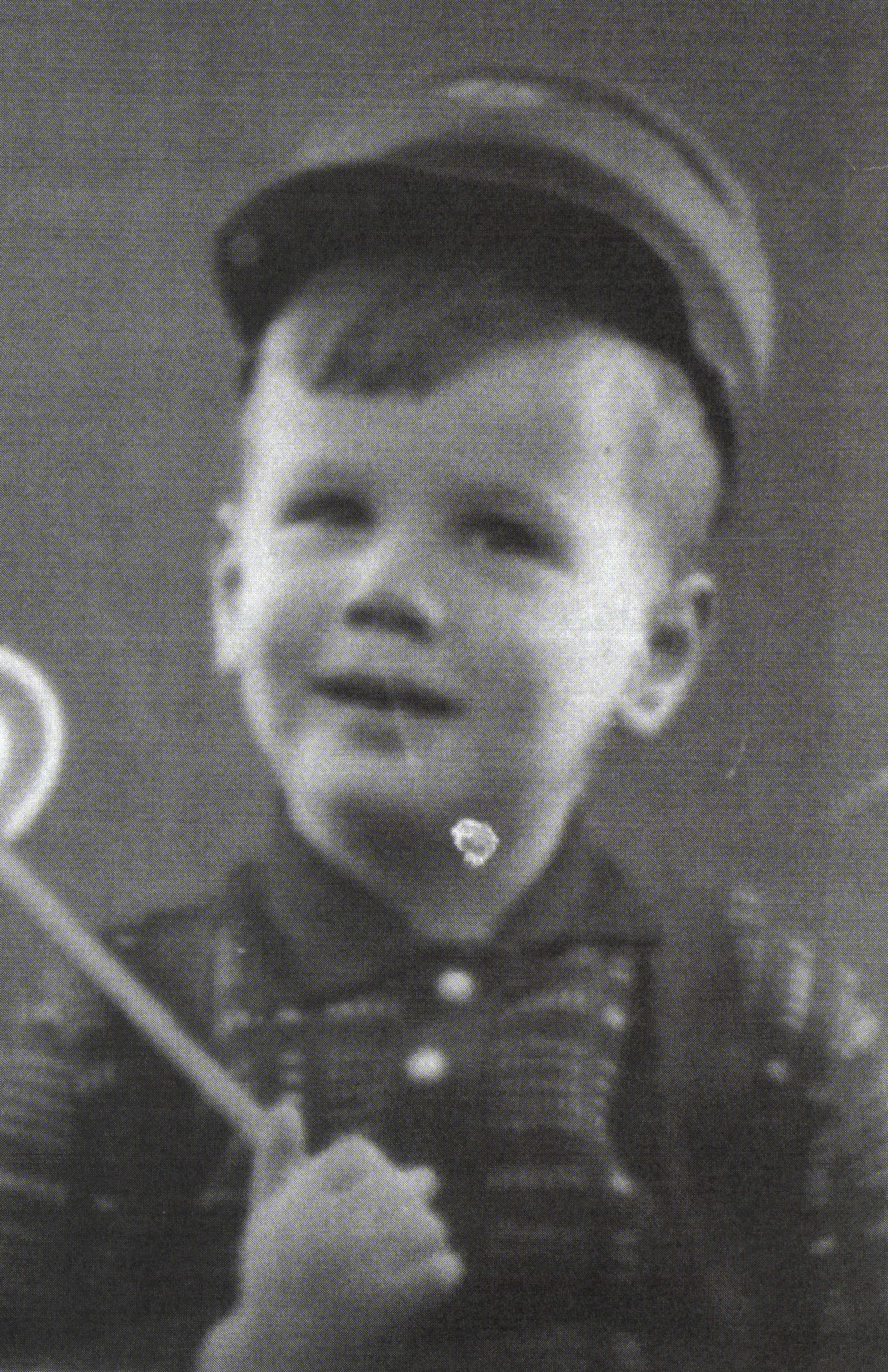 Hartog Levie