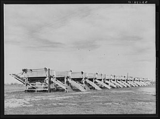 Battery of pea shellers near Mercedes, Texas