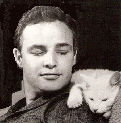 MARLON WAS A CAT LOVER.