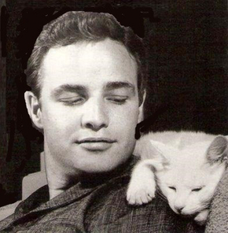 A photo of Marlon Brando