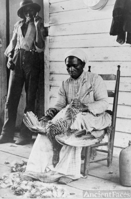 Thanksgiving Turkey, 1900