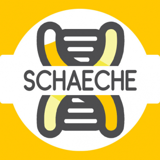 Lee Schaeche-Odine