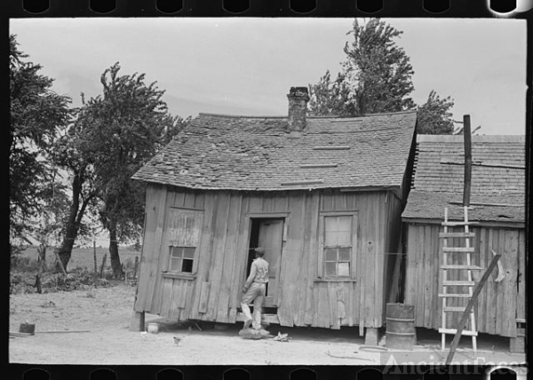 Sharecropper's cabin, Southeast Missouri Farms