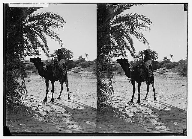 To Sinai via the Red Sea, Tor, and Wady Hebran. Scene at...