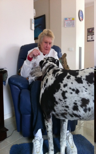 Mum and Panda