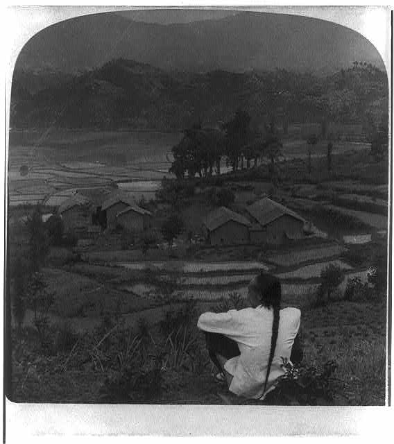 Paddy fields, farm houses and patches of tea, at Matin,...