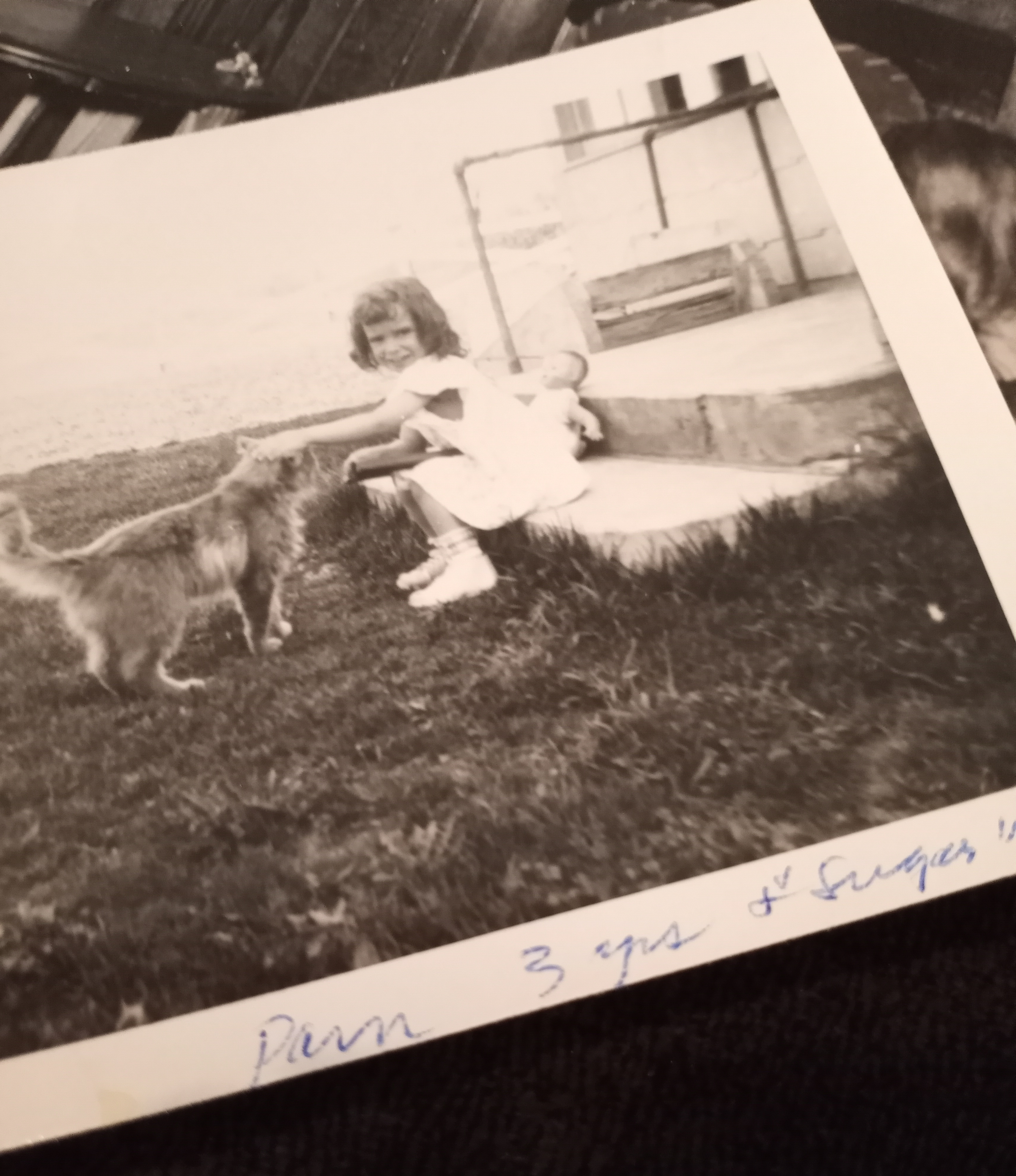 SUGAR ! The cat and my momma. 