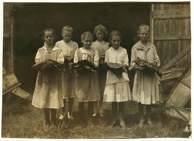 Leaf-girls (4896) 3 of 11 yrs., 2 of 12 yrs., 2 of 13....