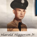 A photo of Harold J. Higgerson Jr.