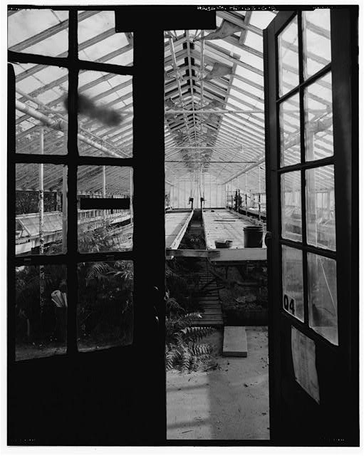 5. VIEW SOUTH, INTERIOR OF GREENHOUSE #2 (BUILDING 6) -...
