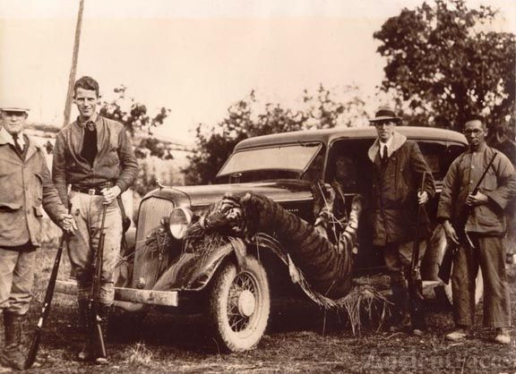 John Snell Tiger Hunt