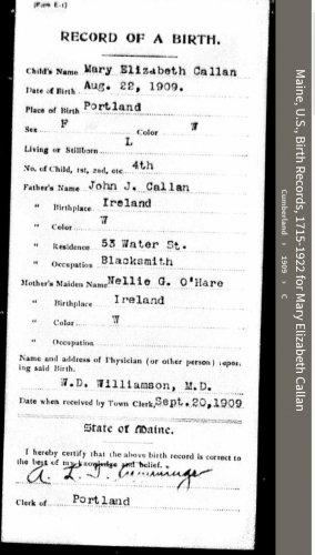 Mary Elizabeth Callan-Philbrick-Norton--Maine, U.S., Birth Records, 1715-1922(1909)