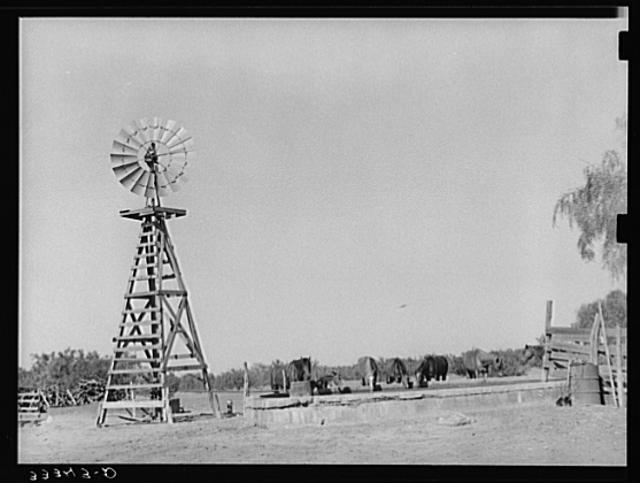 Windmill and watering trough on SMS Ranch near Spur, Texas
