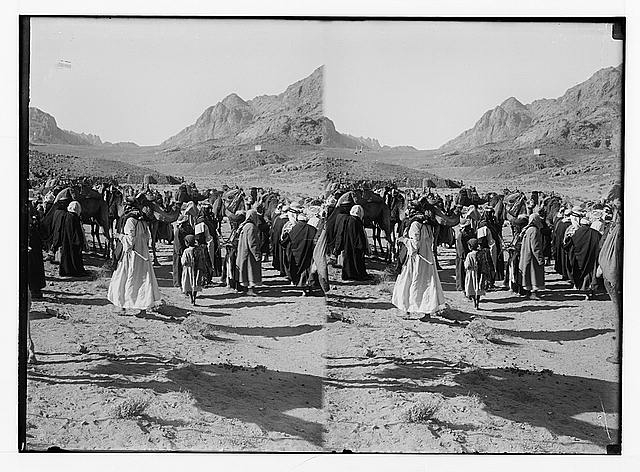 To Sinai via the Red Sea, Tor, and Wady Hebran. Multitude...