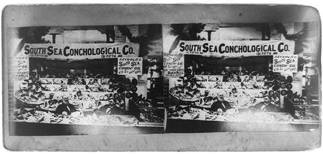 South Sea Conchological Co.