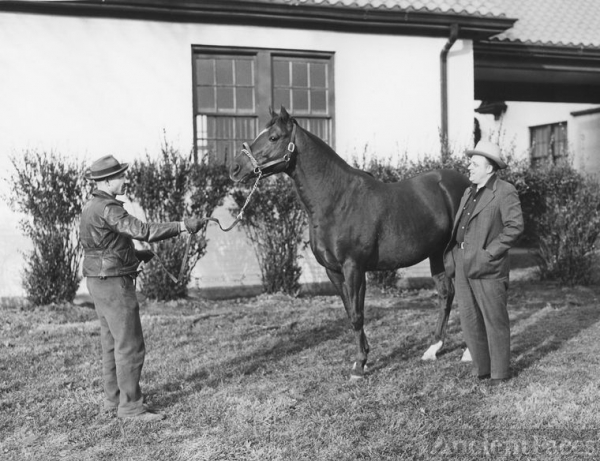 Man Of War with Ray Van Tassel