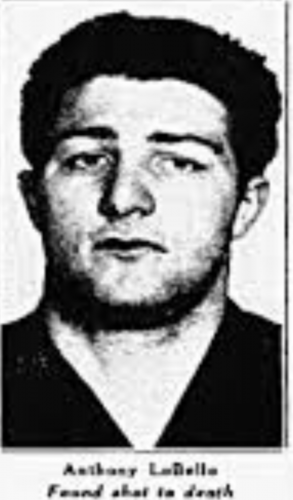 Anthony Labello