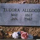 A photo of Eudora Josephine J. Barron Shipman Ward Allgood