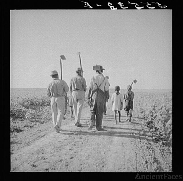 King and Anderson Plantation, Clarksdale. Mississippi...