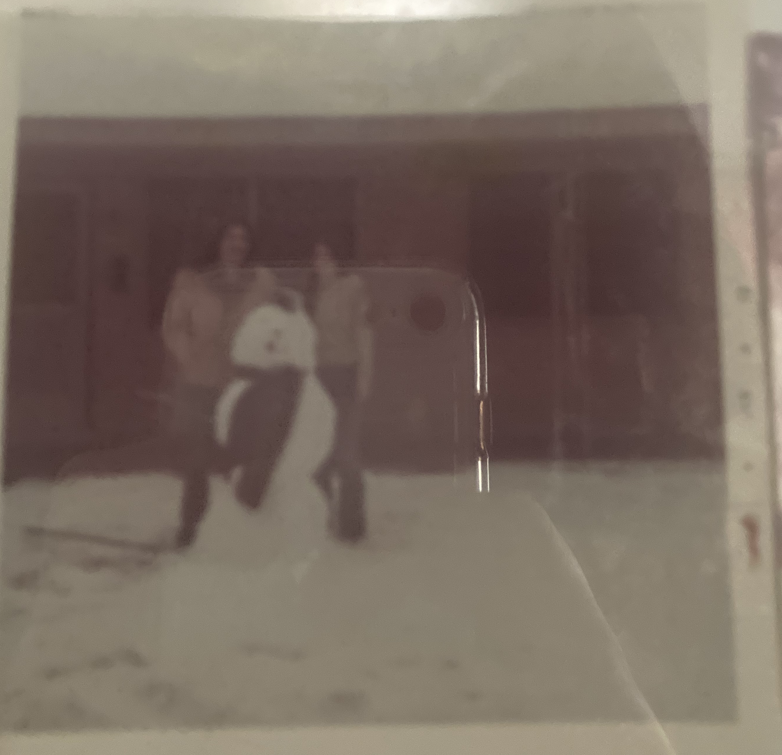 Paulette (Menge) Whittington Paulette (Menge) Whittington