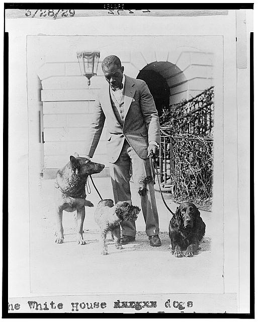 The White House dogs King Tut, Whoopie, and Englehurst...