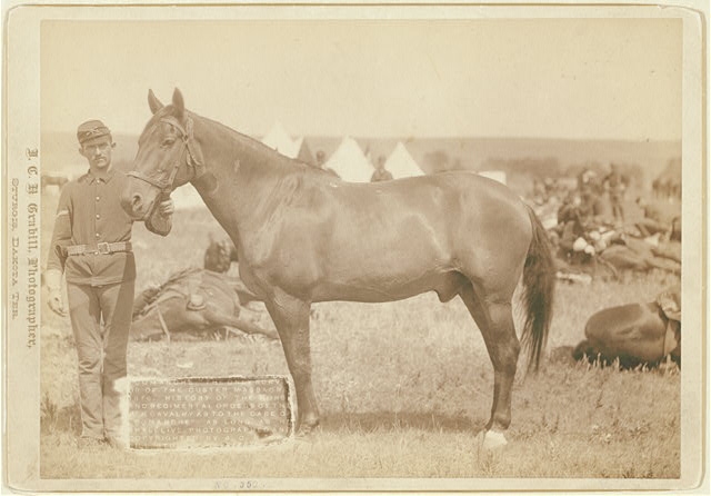 "Comanche," the only survivor of the Custer Massacre,...