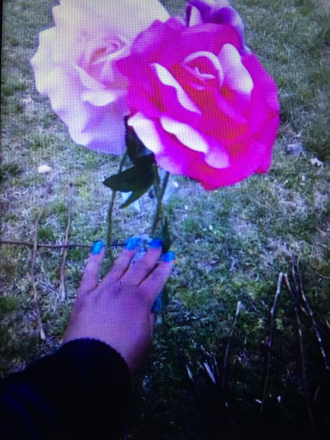 Me putting 2 roses on Snug’s grave... I love and miss you babe