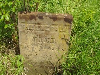 Theron Eusebius Balch gravesite