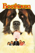 There's his dog.