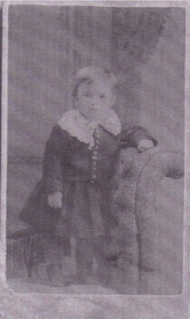 D. L. Brisbin